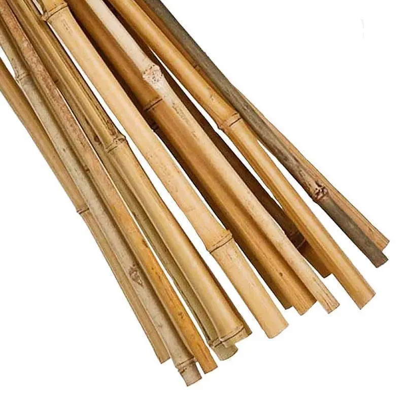 15-Pack 4-Foot Tall Garden Canes For Climbing Plants 1
