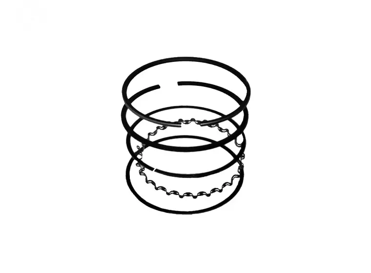 Briggs & Stratton Rotary Standard Piston Ring Set #10755 1