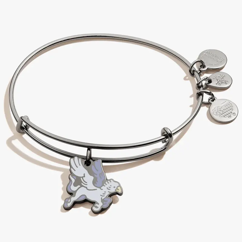 Buckbeak Mythical Creature Charm Bangle – Harry Potter Series 1