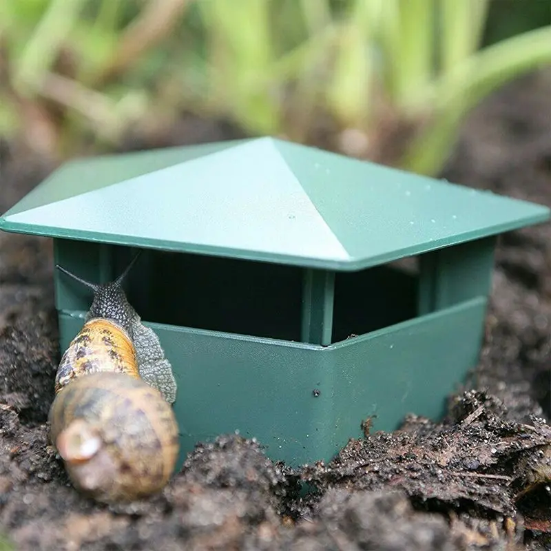 Growing Patch Slug And Snail Trap Kit – 2-Piece Eco-Friendly Garden Solution 1