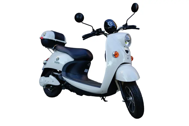 La'Citta Viaggio Folding E-Bike Travel Bag 1
