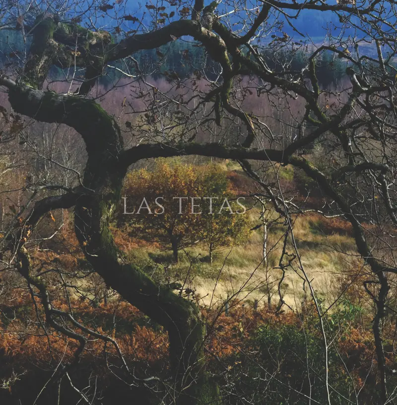 Las Tetas - Self-Titled Debut (Limited 180G Lilac Vinyl Lp) 1