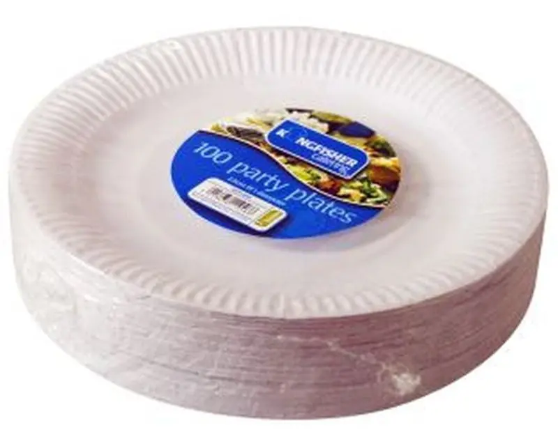Pack Of 100 Kingfisher 9-Inch Paper Plates – Disposable Round Serving Plates For Events 1