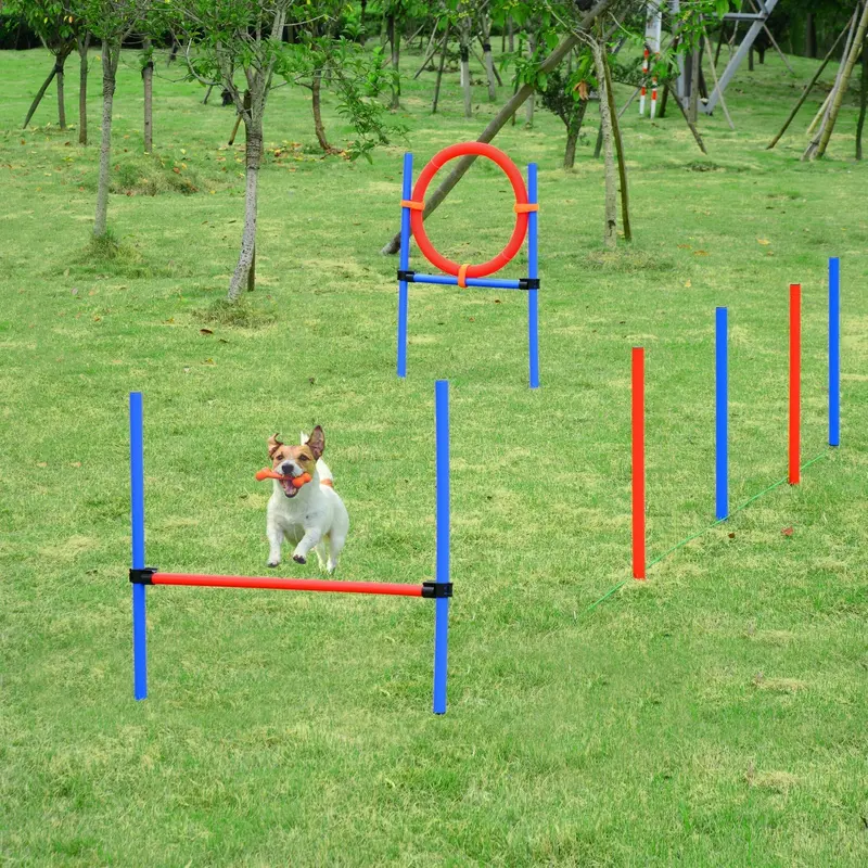 Pawhut Adjustable Dog Agility Training Set For Puppies And Pets 1