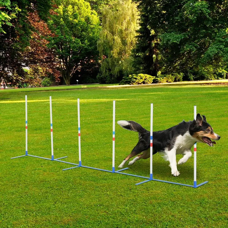 Pawhut Polyethylene Weave Pole Set – White & Blue Dog Agility Training Equipment 1