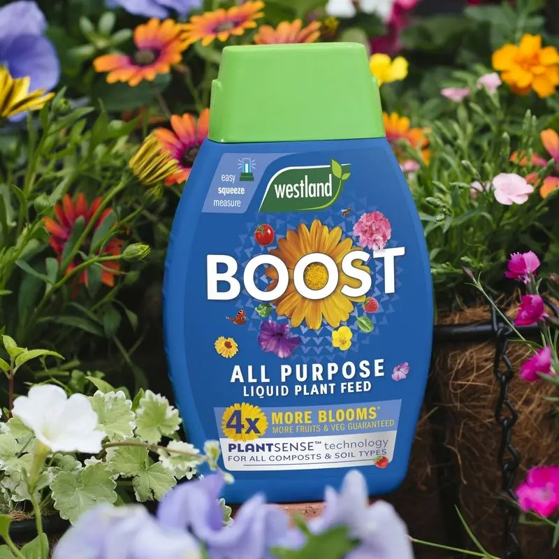 Westland Boost Liquid Plant Food – All-Purpose 1L Concentrate 1